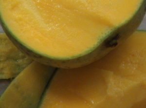 Mangue