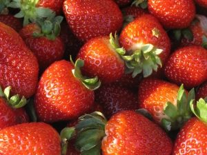 fraise