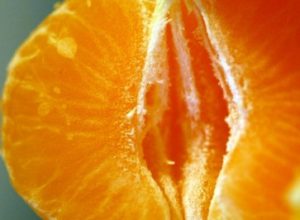 mandarine